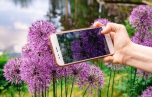 Identificar plantas nunca fue tan fácil: descubre las mejores apps
